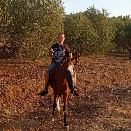 アパート Primitivo Bay Hvar フヴァル