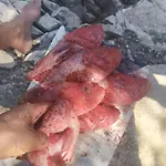 Primitivo Bay Hvar Апартаменты Хвар