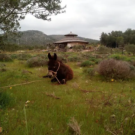 Primitivo Bay Hvar Apartman Hvar Town