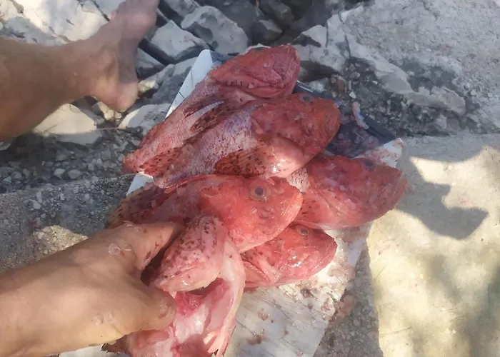 Primitivo Bay Hvar アパート フヴァル