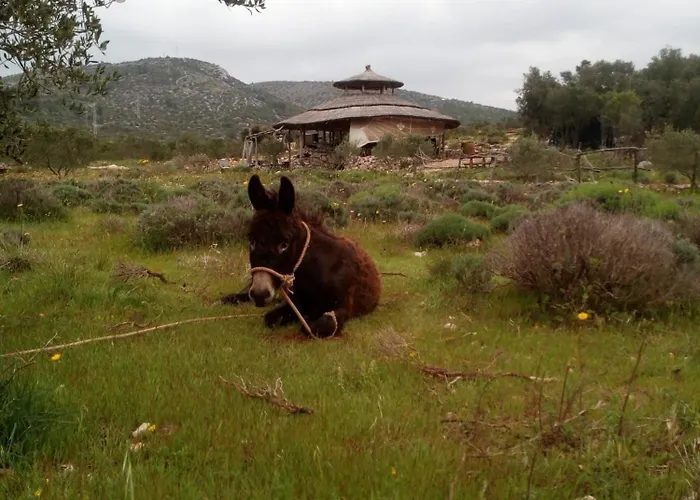 Primitivo Bay Hvar Apartment Hvar Town