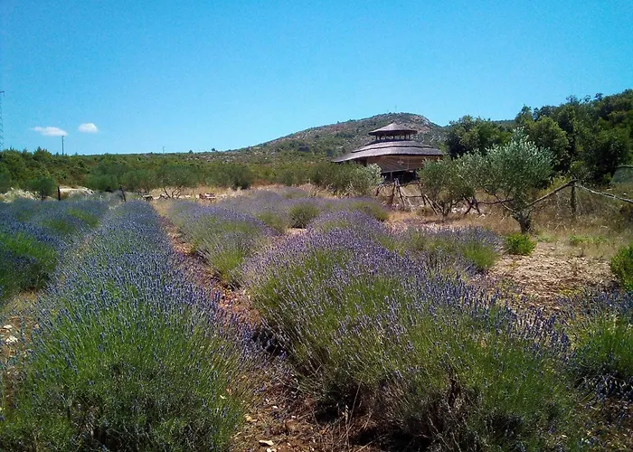 Apartment Primitivo Bay Hvar *