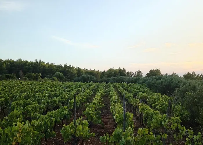 Primitivo Bay Hvar Apartment Hvar Town