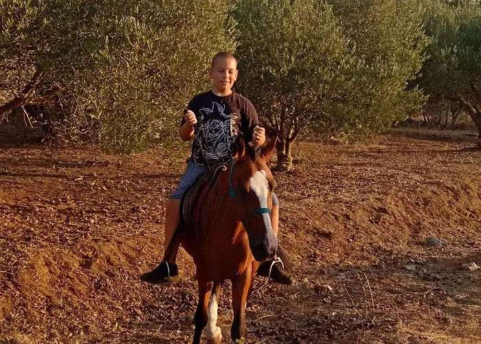 Apartment Primitivo Bay Hvar Hvar Town