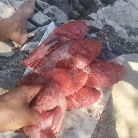 Primitivo Bay Hvar 아파트 흐바르