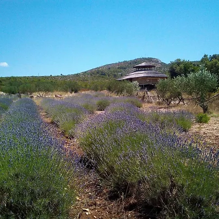 Apartman Primitivo Bay Hvar *